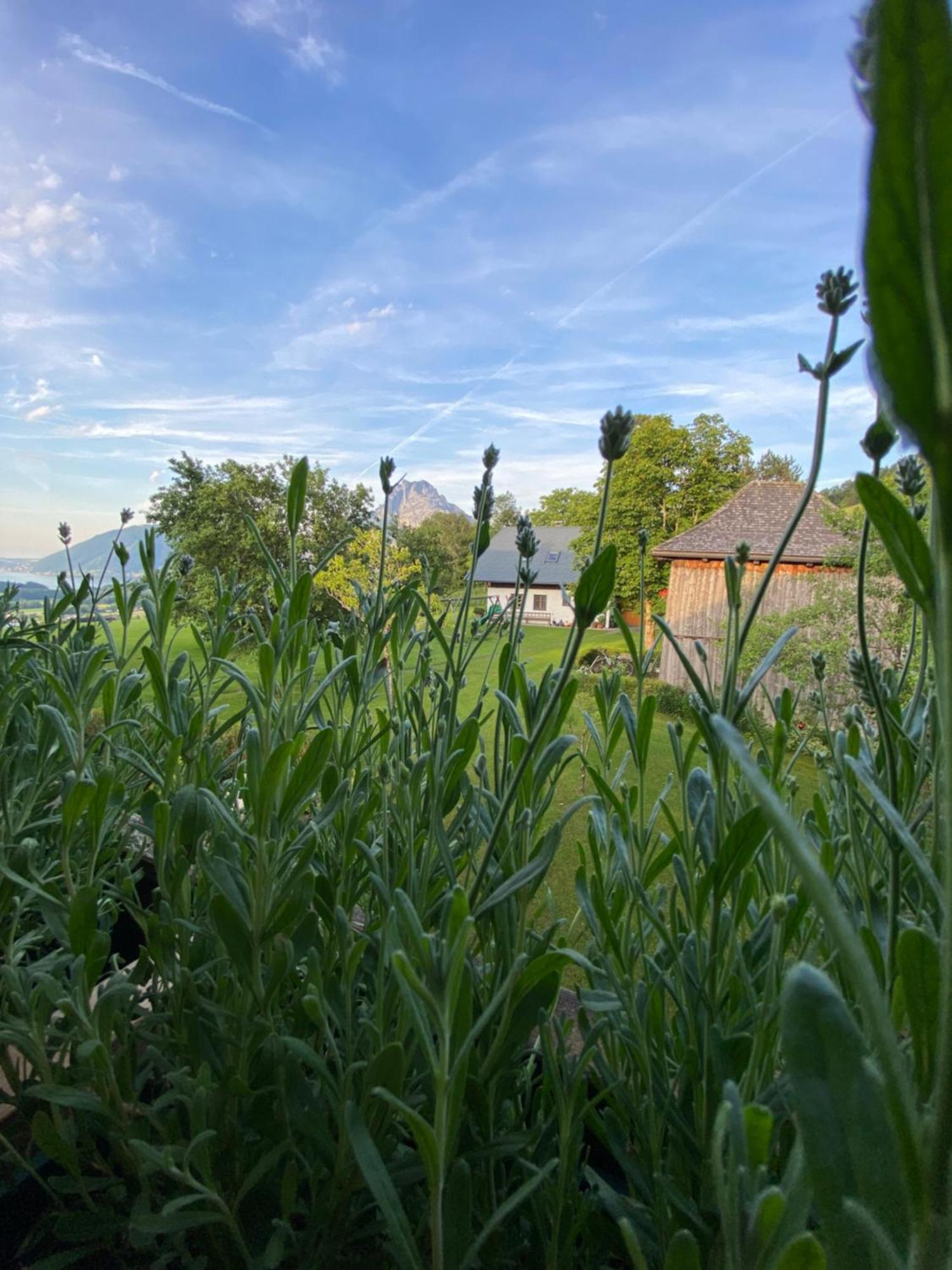 Ferienwohnung Attwengerhof Traunkirchen Exteriör bild